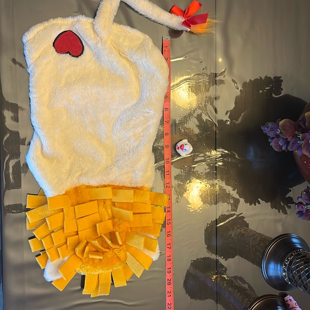 Lion dog costume.